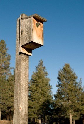 Recycled Birdhouse Ideas ThriftyFun