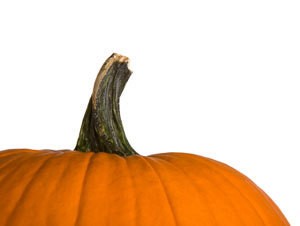 Photo of a pumpkin.