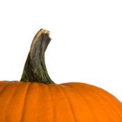 Photo of a pumpkin.