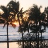 Sunset through palm trees at Sunset beach Hawaii.
