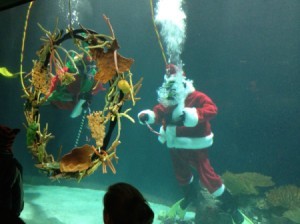 diving santa