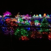 zoolights