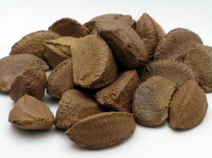 Brazil Nuts