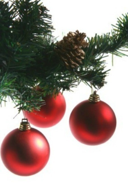 Red Christmas ornaments on a tree bough.