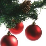 Red Christmas ornaments on a tree bough.