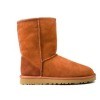 Brown Suede Boot