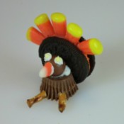 finished turkey