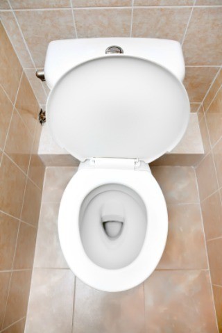 toilet best review