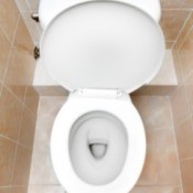 Photo of a toilet bowl.