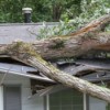 A large tree that has fallen into a house