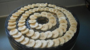 Banana slices on dehydrator tray.