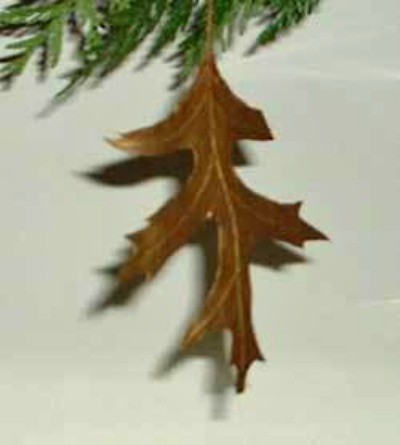 Closeup of individual painted leaf.