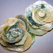 Two sea shell roses.