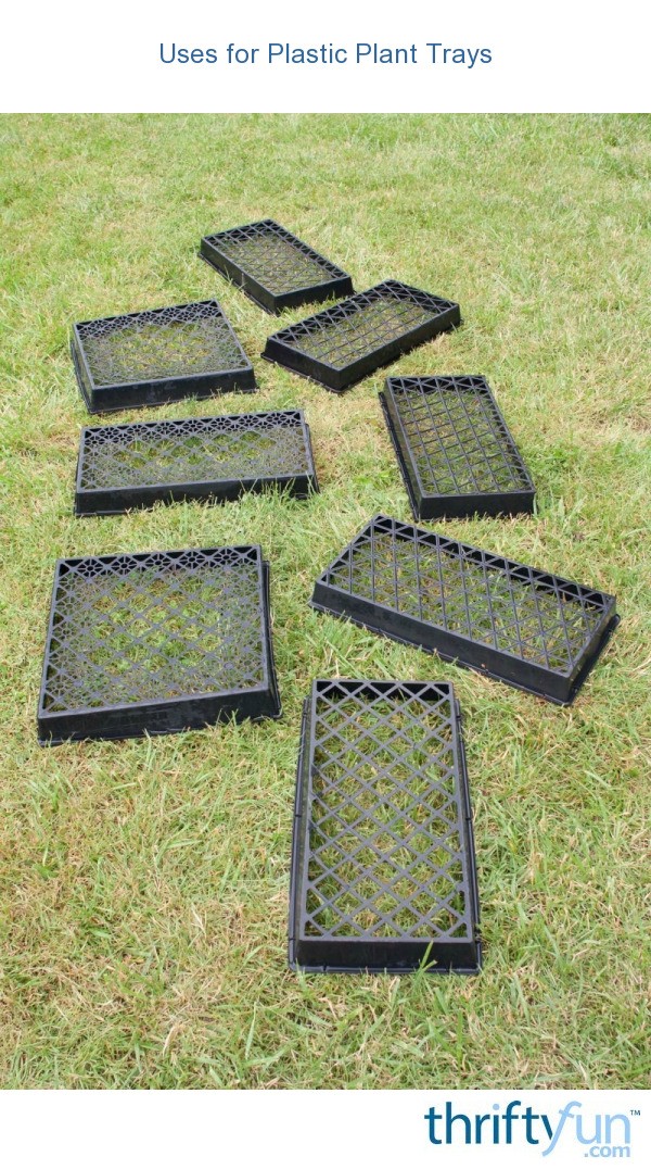 Uses For Plastic Plant Trays 