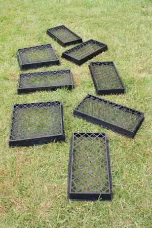 Uses for Plastic Plant Trays