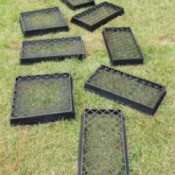 Uses for Plastic Plant Trays