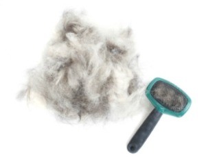 A dog's brush next to a pile of dog hair.