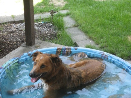 Relaxing in his pool.