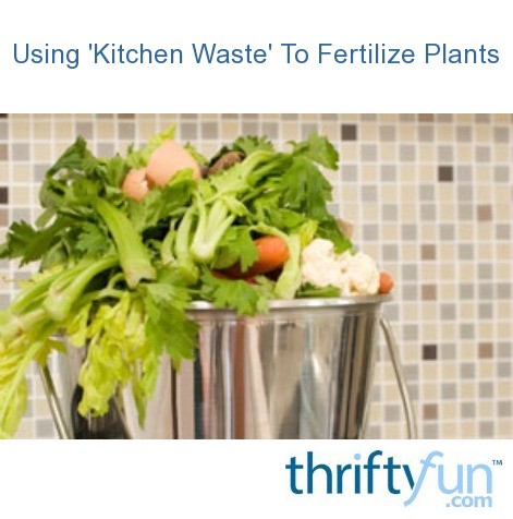 Using 'Kitchen Waste' To Fertilize Plants? | ThriftyFun
