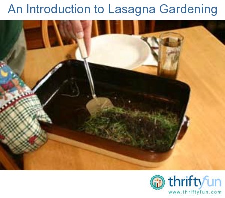 An Introduction to Lasagna Gardening | ThriftyFun