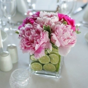 Peonies in a vase