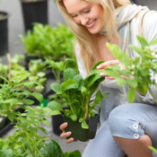 young woman kneeling down looking a plants