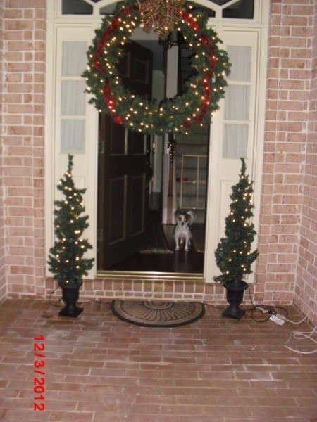 Callie Ann at the front door at Christmas.