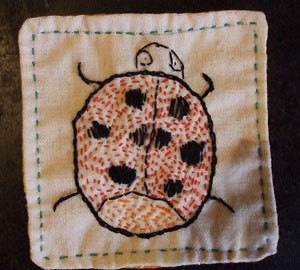 Ladybug sampler.