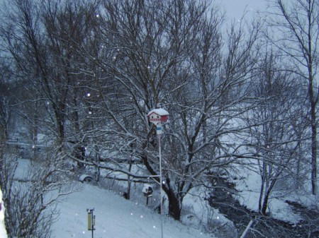 Snowy scene with birdhouse.