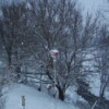 Snowy scene with birdhouse.