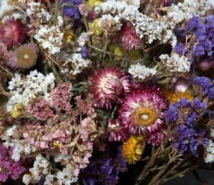 Dried Flowers