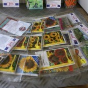 Organizing Seeds