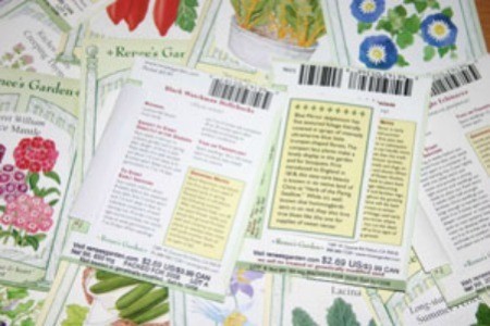 Making Sense of Seed Packet Terms