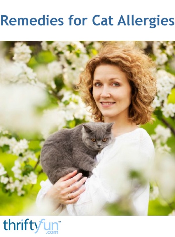 Remedies for Cat Allergies ThriftyFun