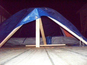 Pup tent with blue tarp for dog shelter.