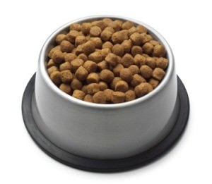 Pet Food in Bowl