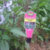 Bamboo Skewer Garden Stakes