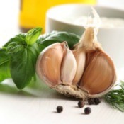 Garlic Dip Recipes