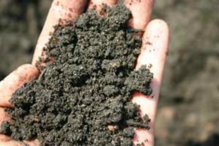 Testing Your Soil