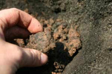 Testing Your Soil