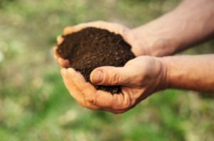 Testing Your Own Garden Soil