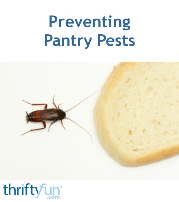 Preventing Pantry Pests Thriftyfun