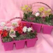 Reusing Petunia Baskets