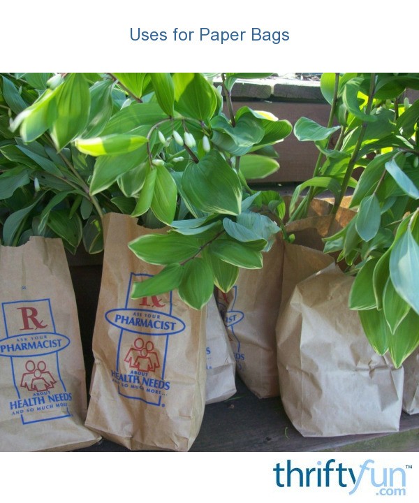 uses-for-paper-bags-thriftyfun