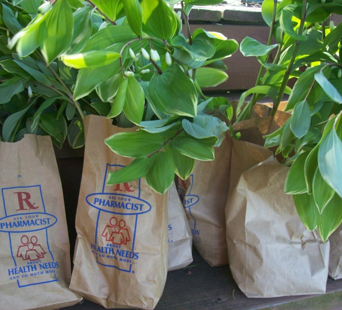 Uses for Paper Bags ThriftyFun