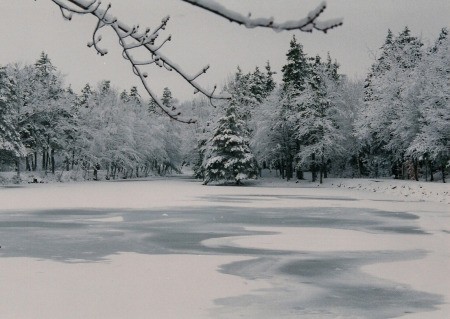 Winter at city park.