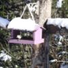 Snow covered bird feeder and bird.