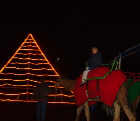 Christmas tree made from lights and boy riding a camel.