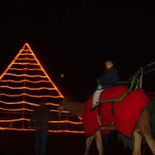 Christmas tree made from lights and boy riding a camel.