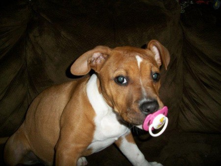 Willow with her binky.